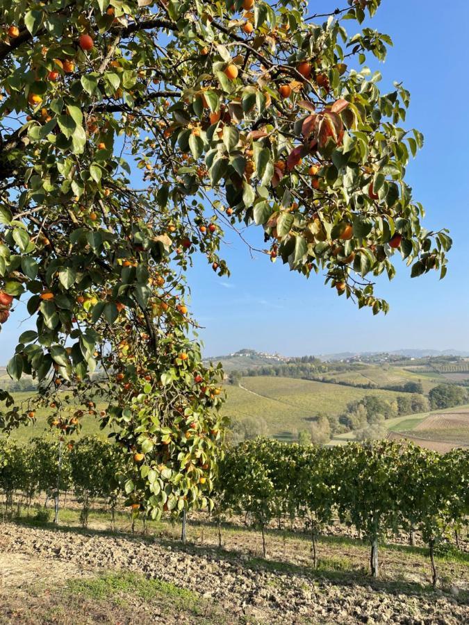 卡斯塔诺兰泽Locazione Turistica Cascina Pela公寓 外观 照片