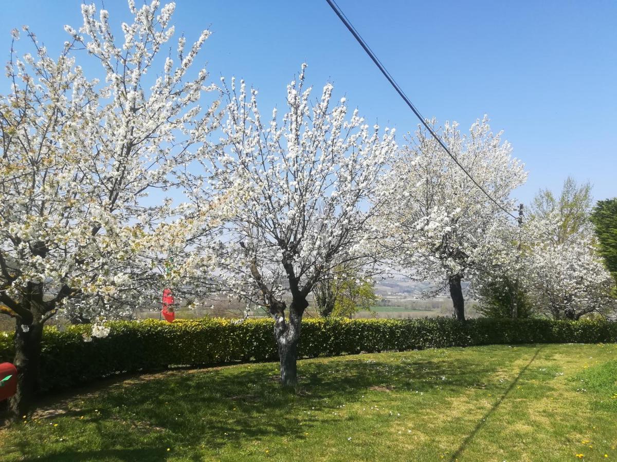 卡斯塔诺兰泽Locazione Turistica Cascina Pela公寓 外观 照片