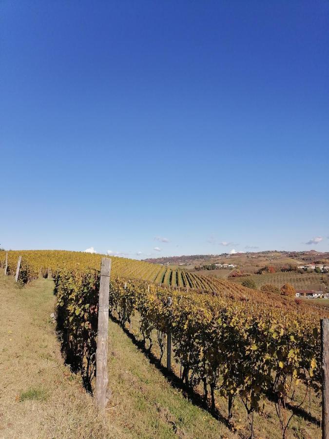 卡斯塔诺兰泽Locazione Turistica Cascina Pela公寓 外观 照片